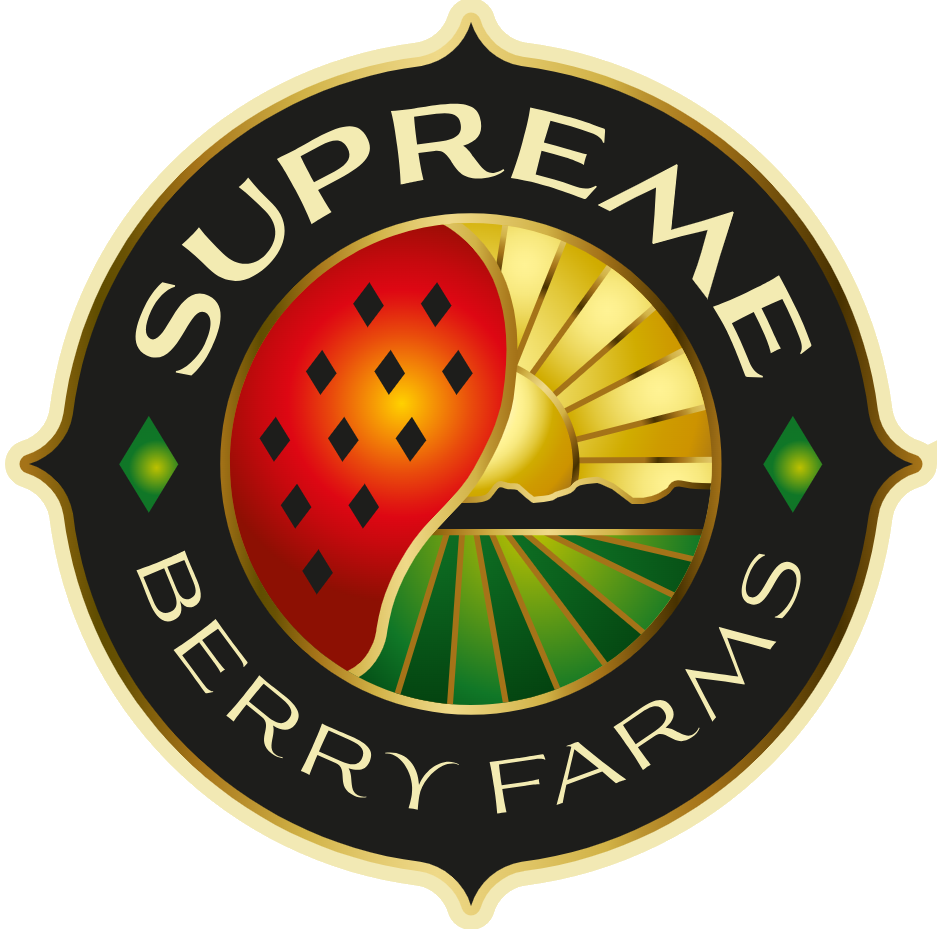 Logo Icon
